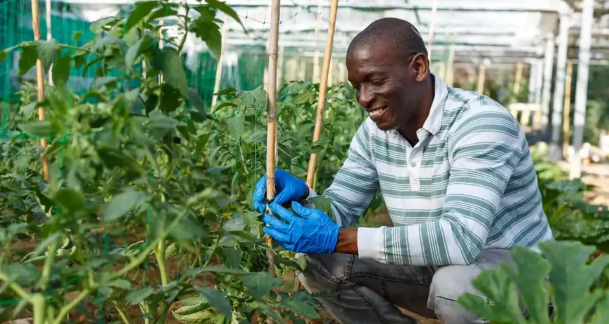 Designing Agriculture for Long-Term Land Preservation