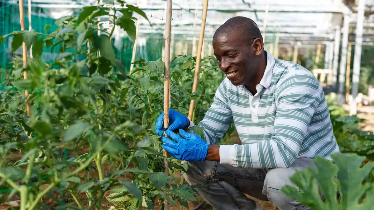 Designing Agriculture for Long-Term Land Preservation