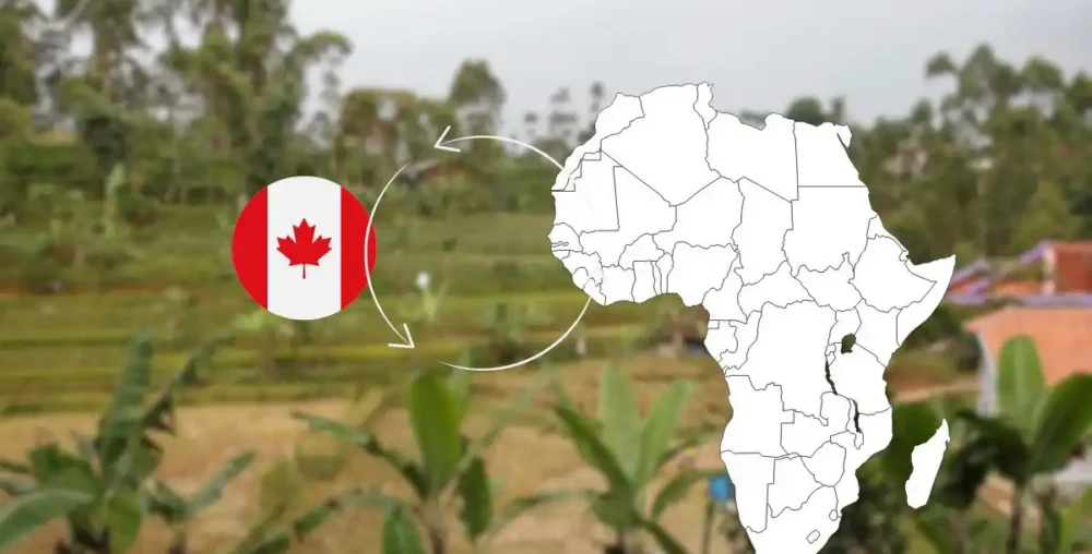 Building the Canada–Africa Agricultural Bridge