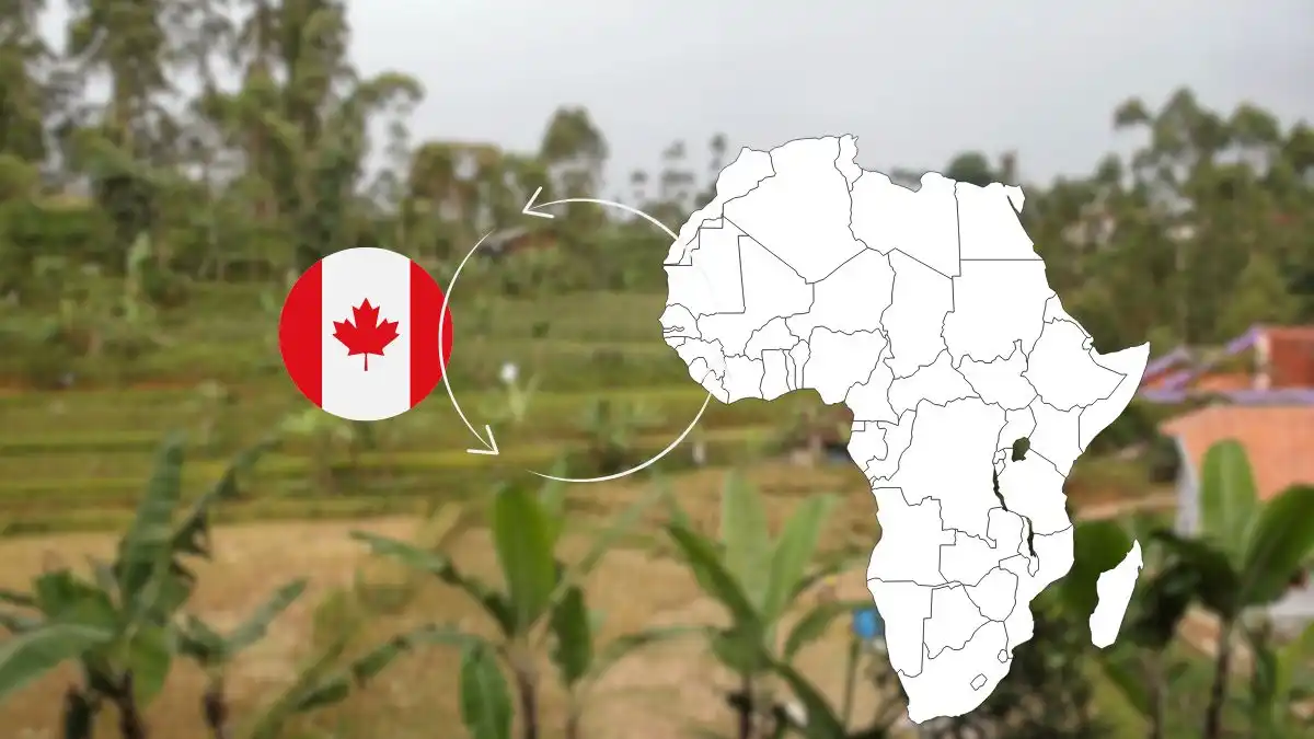 Building the Canada–Africa Agricultural Bridge