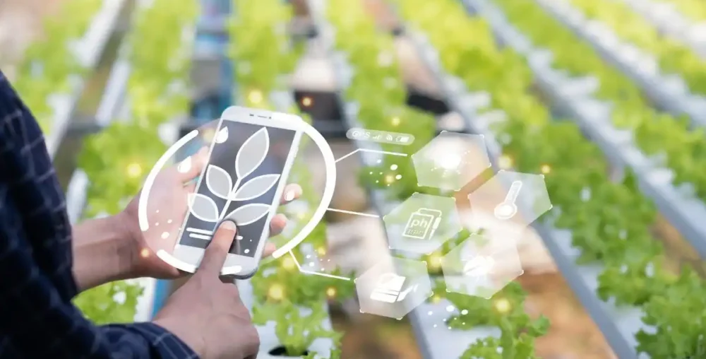 How Technology Drives Productivity at Soumah Agriculture