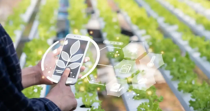 How Technology Drives Productivity at Soumah Agriculture