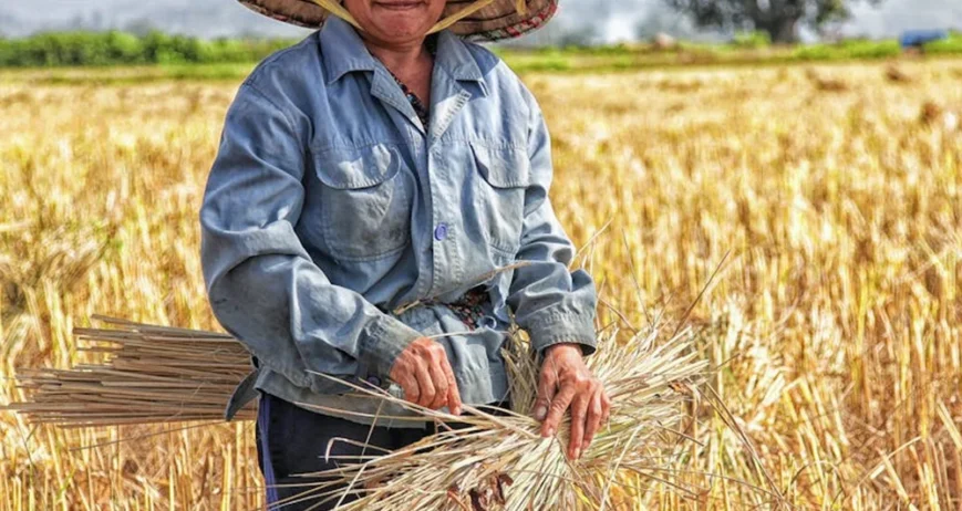 There are many variations of passages of Lorem Ipsum available, but majority have suffered teration in some form, by injected humour, or randomised words which don't look even slight believable. If you are going to use a passage of Lorem Ipsum.