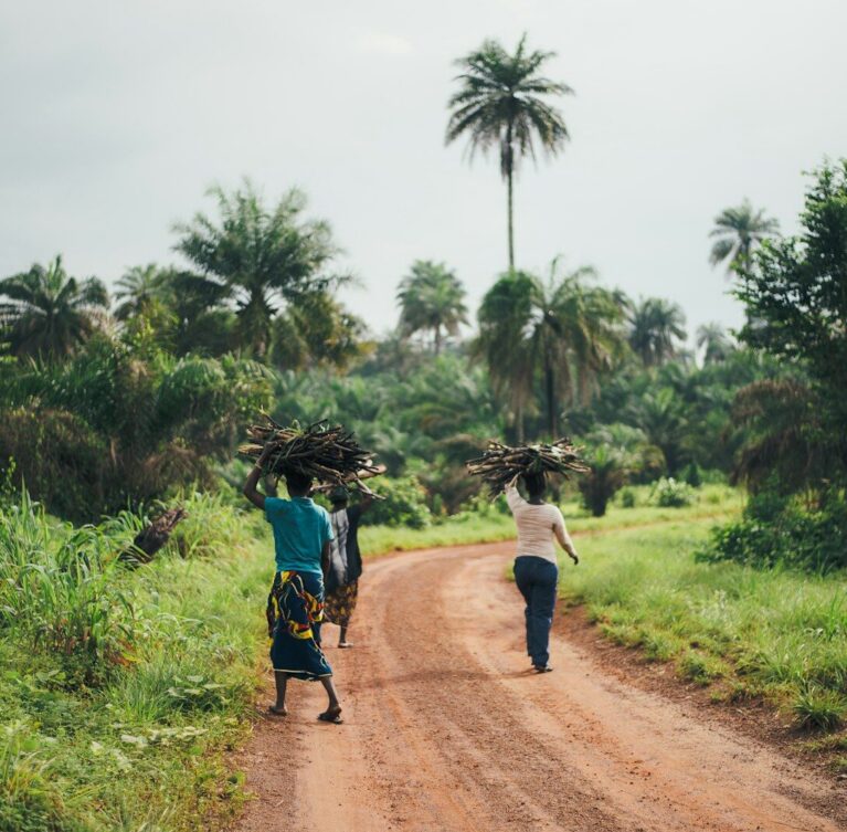women's white t-shirt