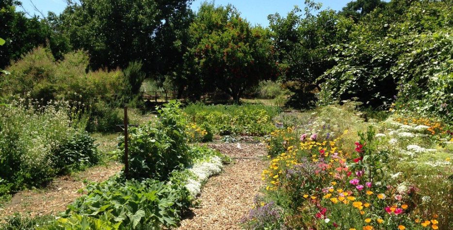 The Ecological Garden, University of California at Davis.